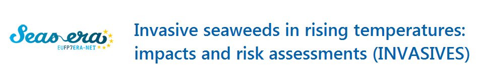 Invasive seaweeds in rising temperatures: impacts and risk assessments